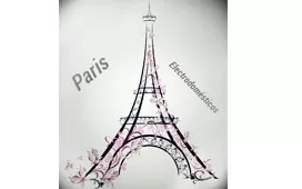 Agradecimiento:<p>Gracias empresa <strong>Paris Electrodom&eacute;sticos</strong>&nbsp;por elegirnos !!</p>
        Descripción de la empresa: 